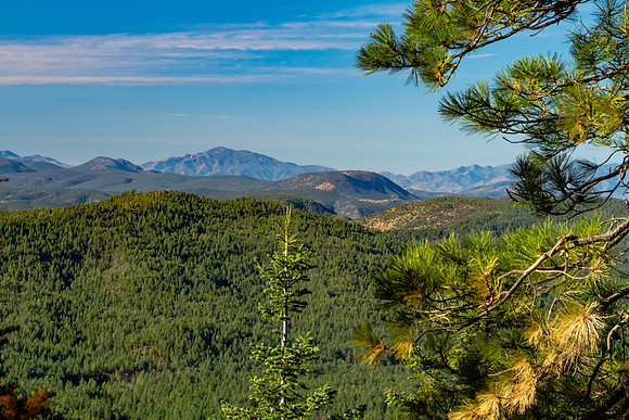 Mountain Vista