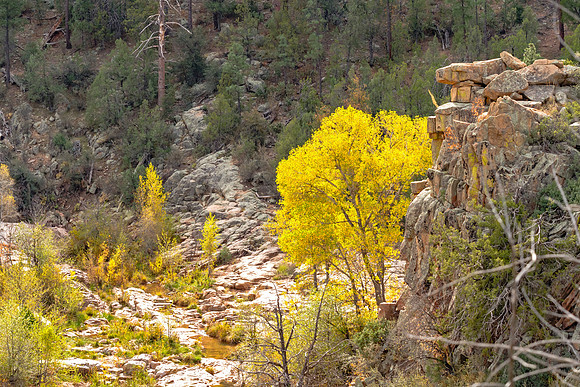 Mountain Valley Color