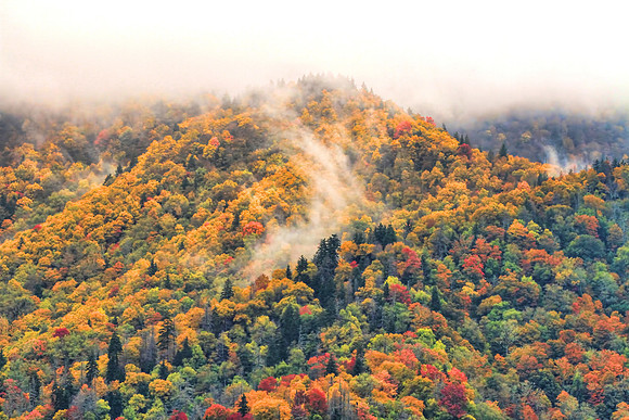 Mountain Fog