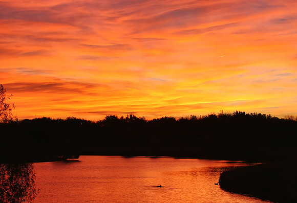 Brilliant Sunrise