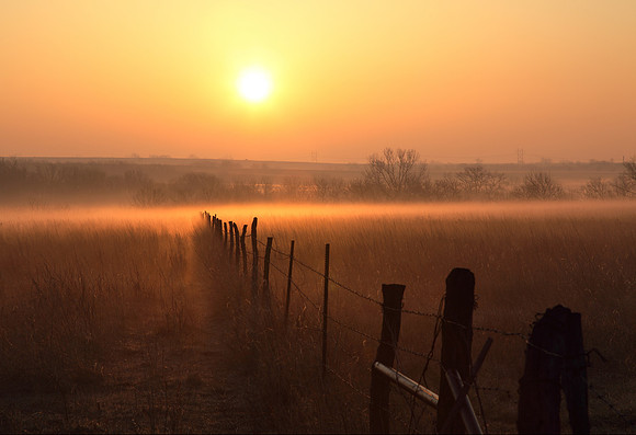 Golden Fog Sunrise
