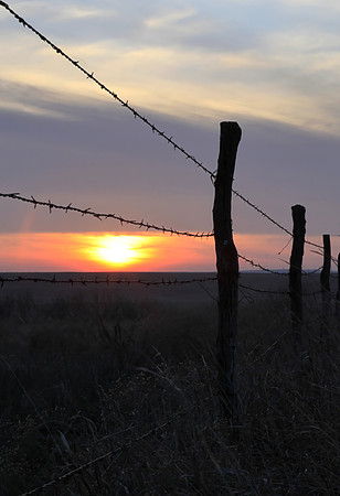 Sunset Fence