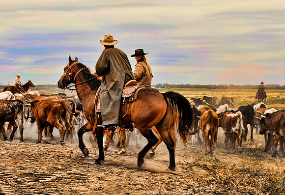 Kansas Cattle Drive- Two Riders