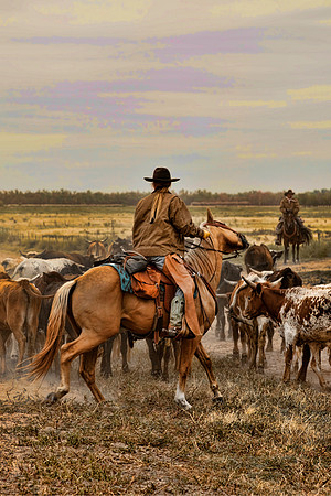 Kansas Cattle Drive- Horse and Rider
