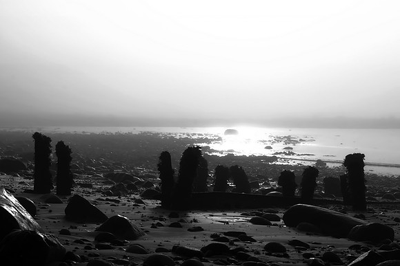 Coastal Fog