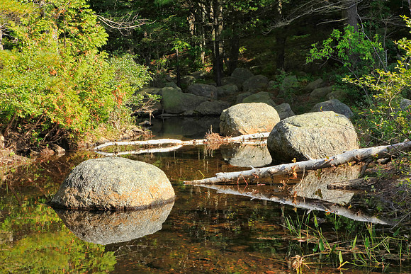 Bubble Pond Reflection