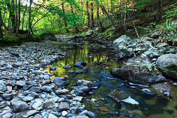 Woodland Stream