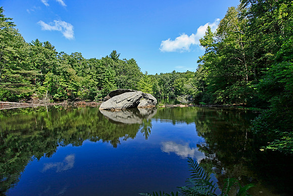 A Moment to Reflect