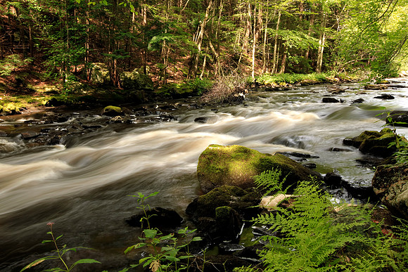 A Peaceful Place