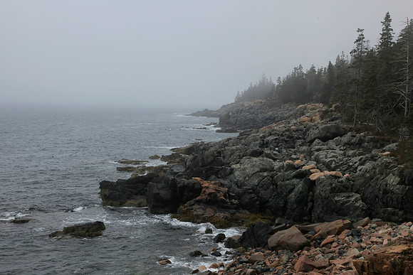 Coastal Fog