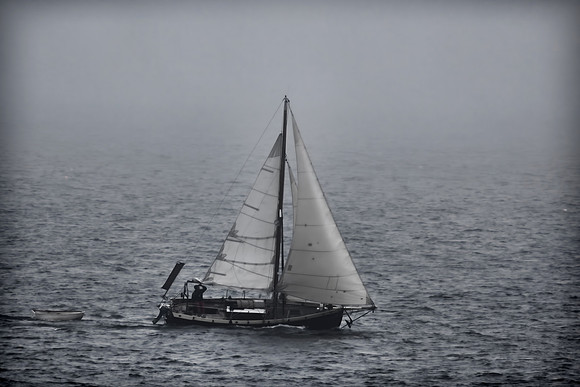 Foggy Crossing