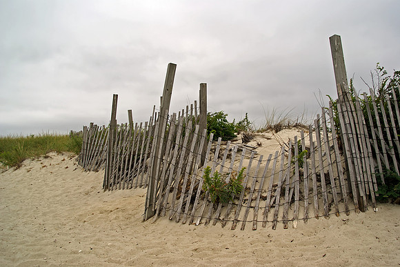 Beach Fence