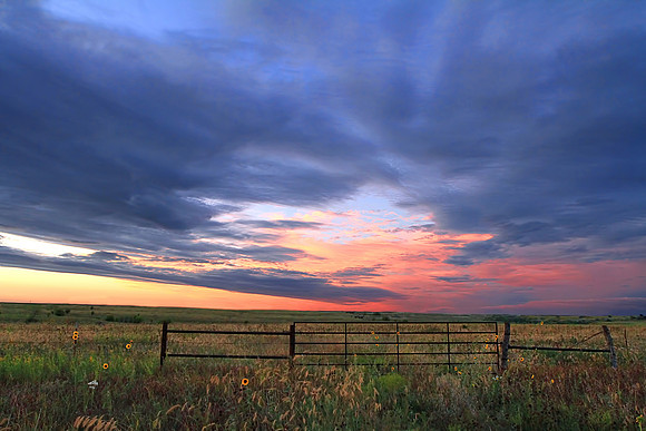 Gated Sunset