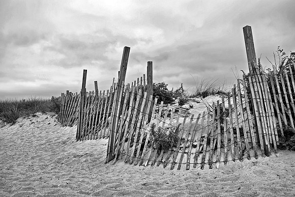 Beach Fence in black and white