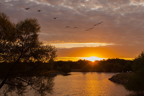 Easterly Flight