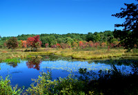 New England