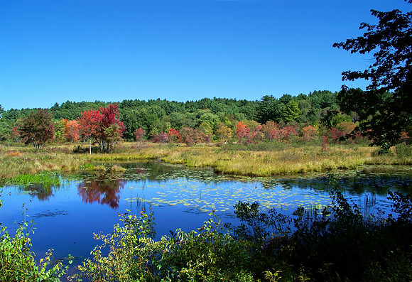 Autumn Colors