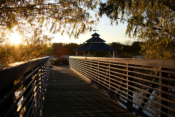 Sunrise Across High Park Bridge