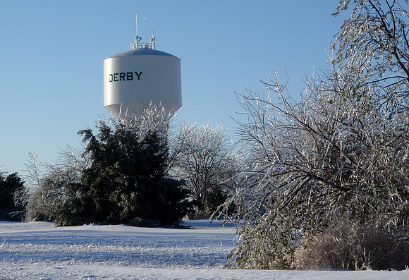 Ice Covered Landscape