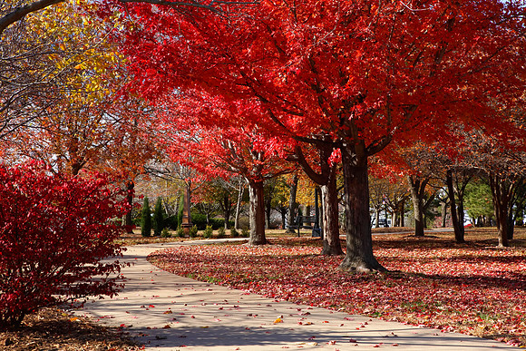 Natures Color