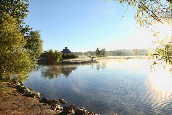 Morning Mist
