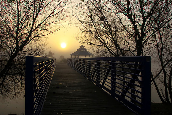 Foggy Sunrise Across the Bridge
