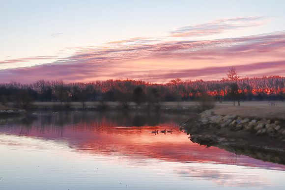 Muted Morning Color