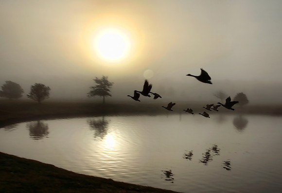 Sunrise Flight