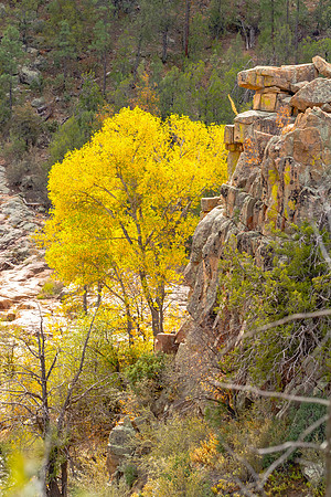 Autumn Colors in the Mountains