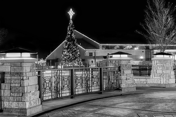 Christmas in black and white