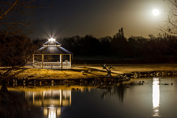 High Park at Moon Rise