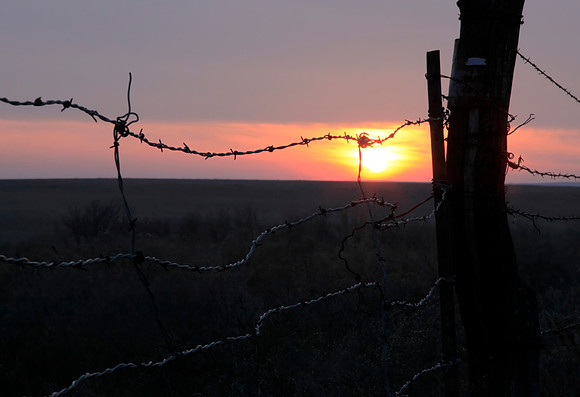 Fenced in Sunset