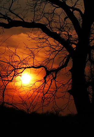 Sinister Sunset