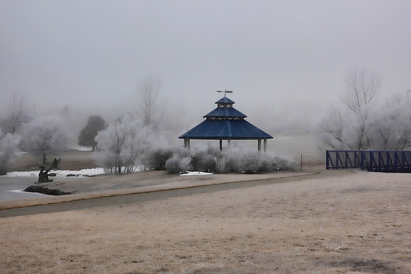 Winter's Frost