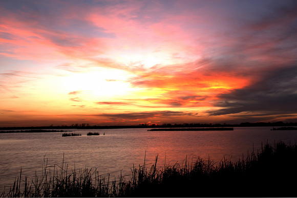 Salt Marsh Sunset